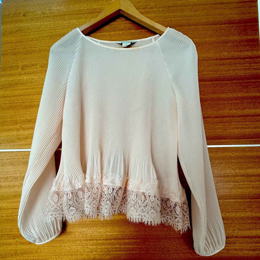 Super elegant sheer embroidered top - perfect over pants or a skirt.